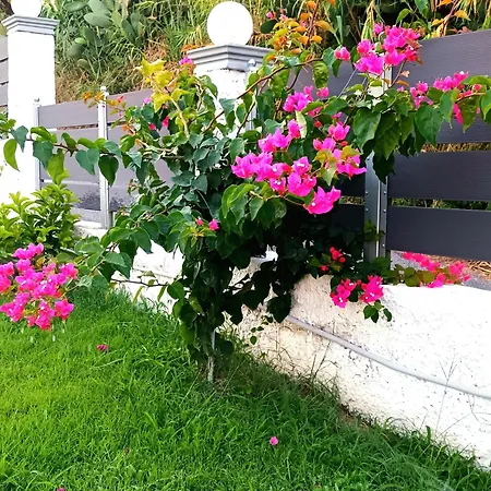 Vila Casa Di Helena Luxury Corfu
