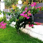 Villa Casa Di Helena Luxury Corfu